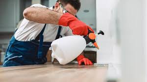 Best Pest Prevention Services  in USA